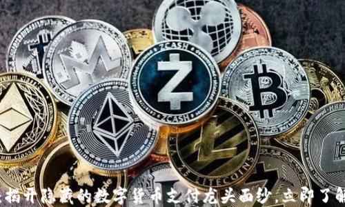 
2025必看：揭開隱藏的數(shù)字貨幣支付龍頭面紗，立即了解未來趨勢！