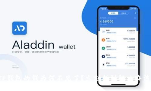 TP錢包的錢為何不見了？立刻找到解決辦法！