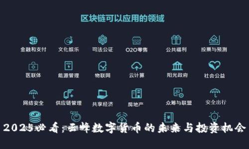 2025必看:云峰數(shù)字貨幣的未來與投資機會