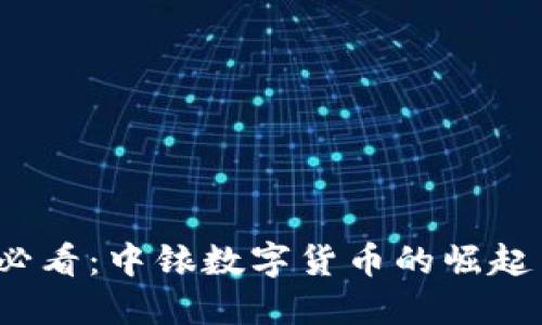 2025必看：中銥數(shù)字貨幣的崛起與未來(lái)